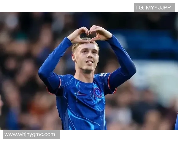 瑞士足球国家队六大球星崭露头角 助力球队冲击国际赛场荣耀